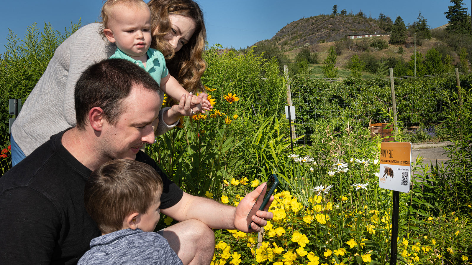 Bee-Friendly Learning Gardens