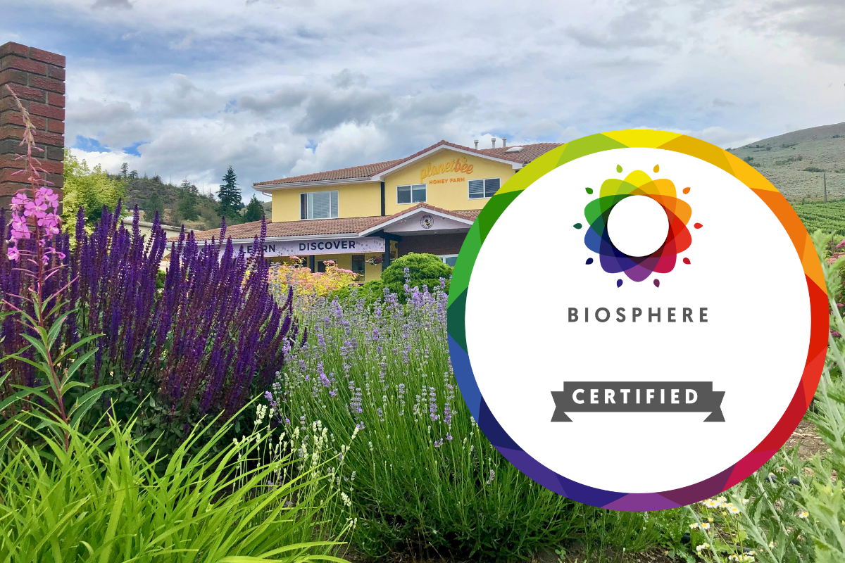 We are Biosphere Certified!