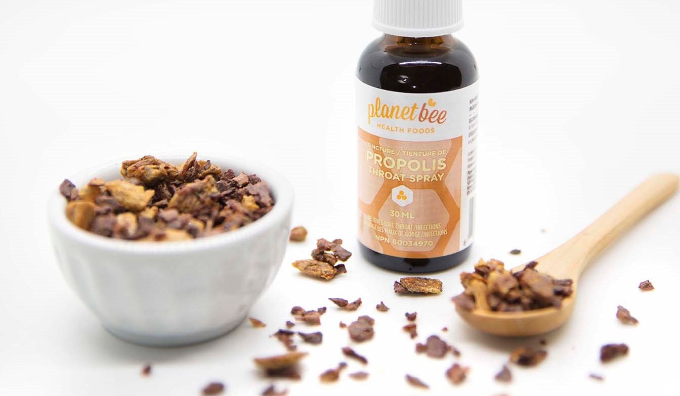 Bee Propolis Collection What is Bee Propolis? The Immune System of the Beehive! - Planet Bee ...