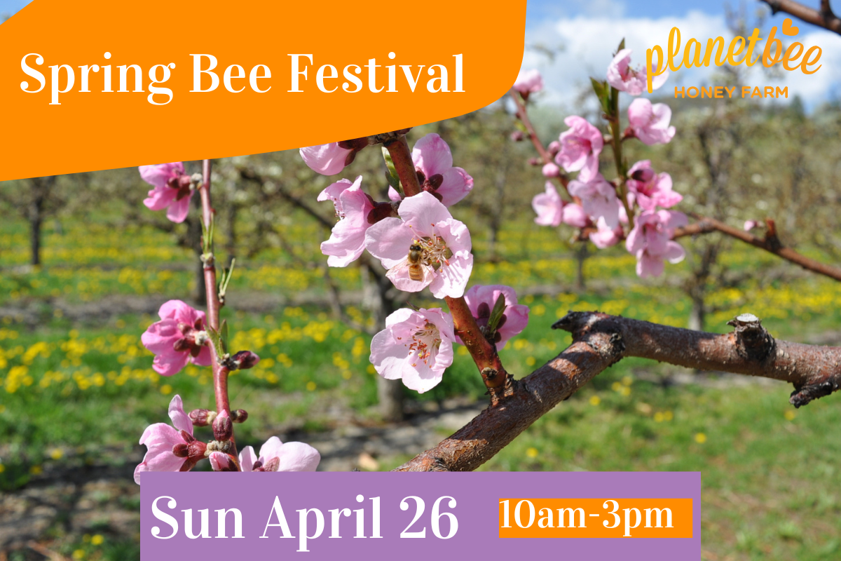 Spring Bee Festival 2026!