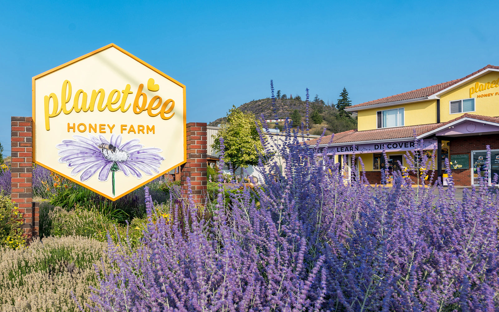 Honey Bee Farm Planet Bee