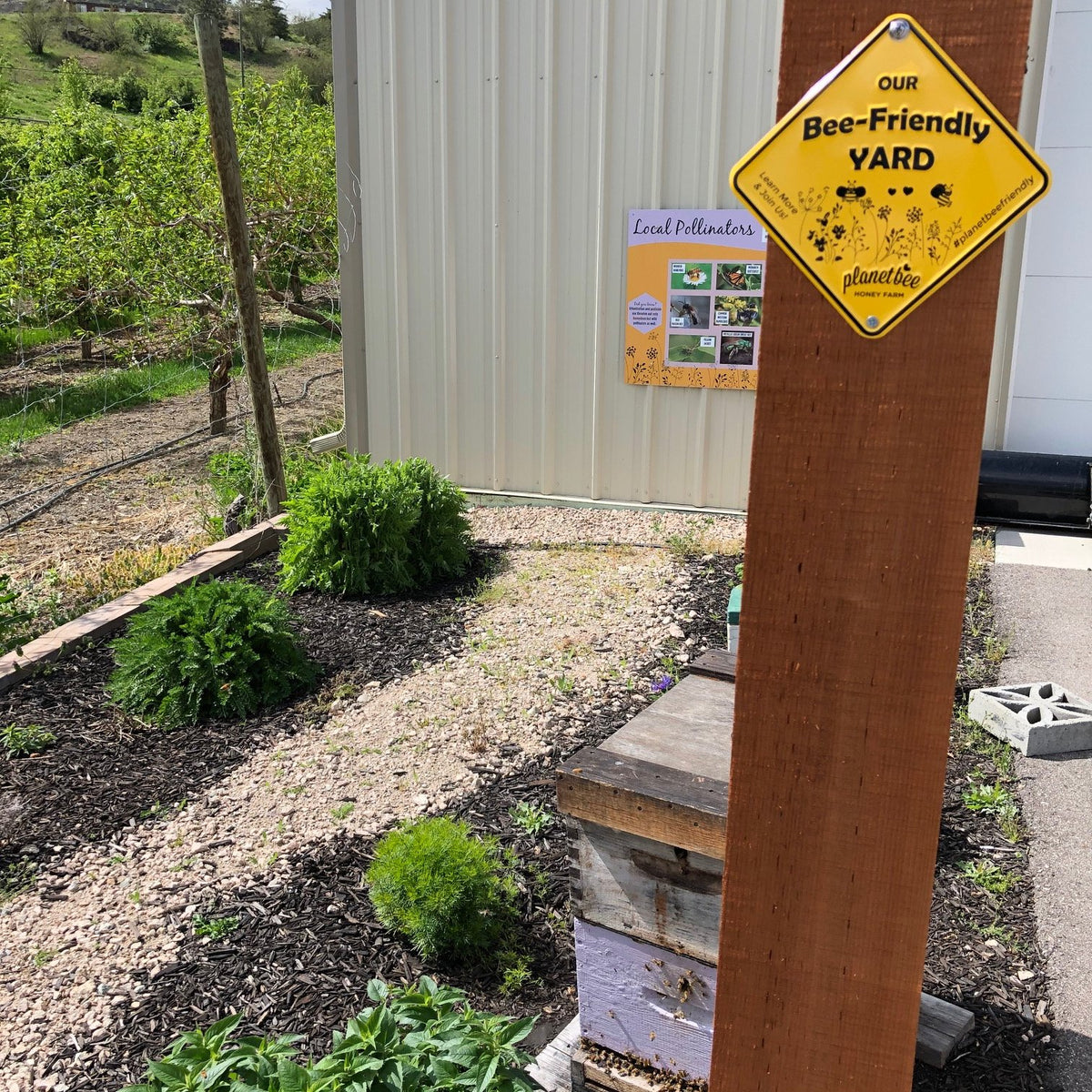 &#39;Our Bee Friendly Yard&#39; Sign