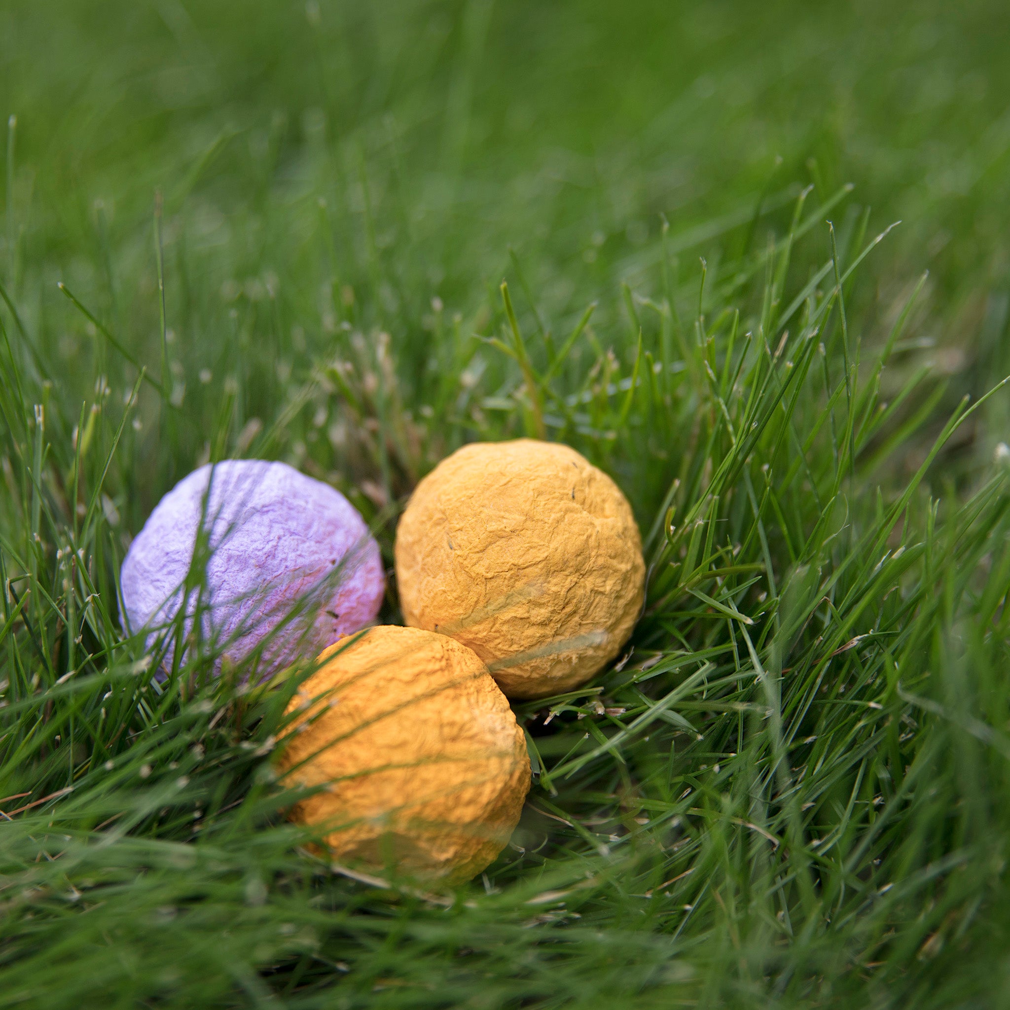 northeast wildflower seed bombs Wildflower Seed Bombs